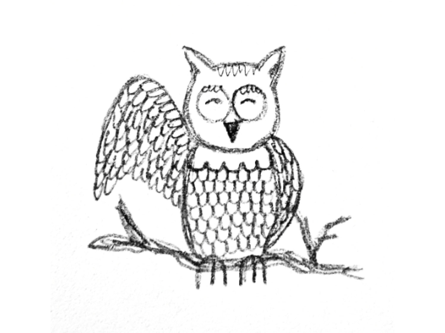 Pencil sketch of an Owl