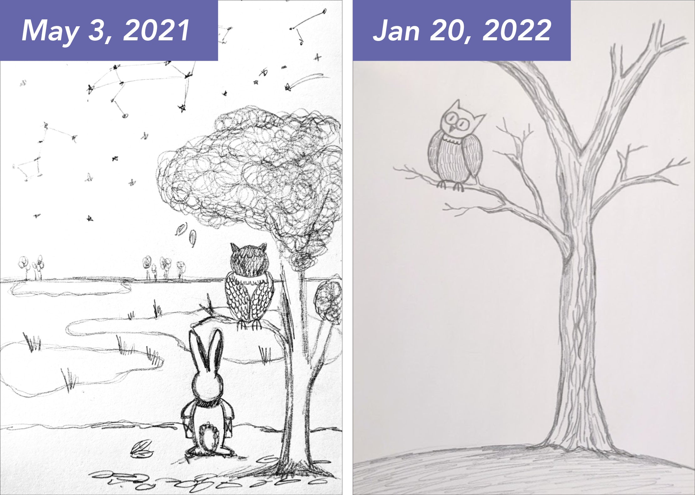 Before and after drawing comparison of an Owl perched on a tree