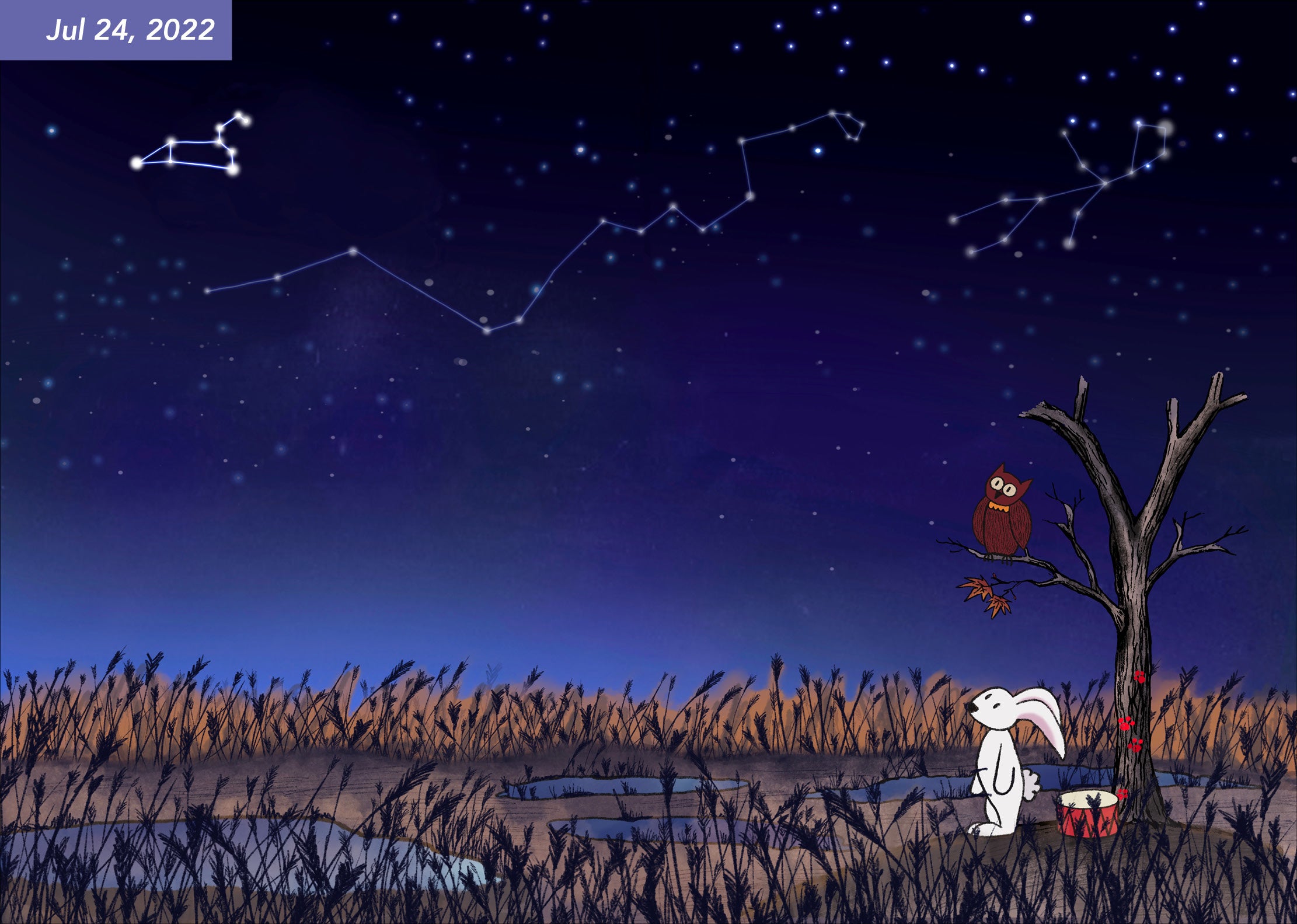 Image of an improved digital drawing of an Owl and a Bunny under a starry night scene