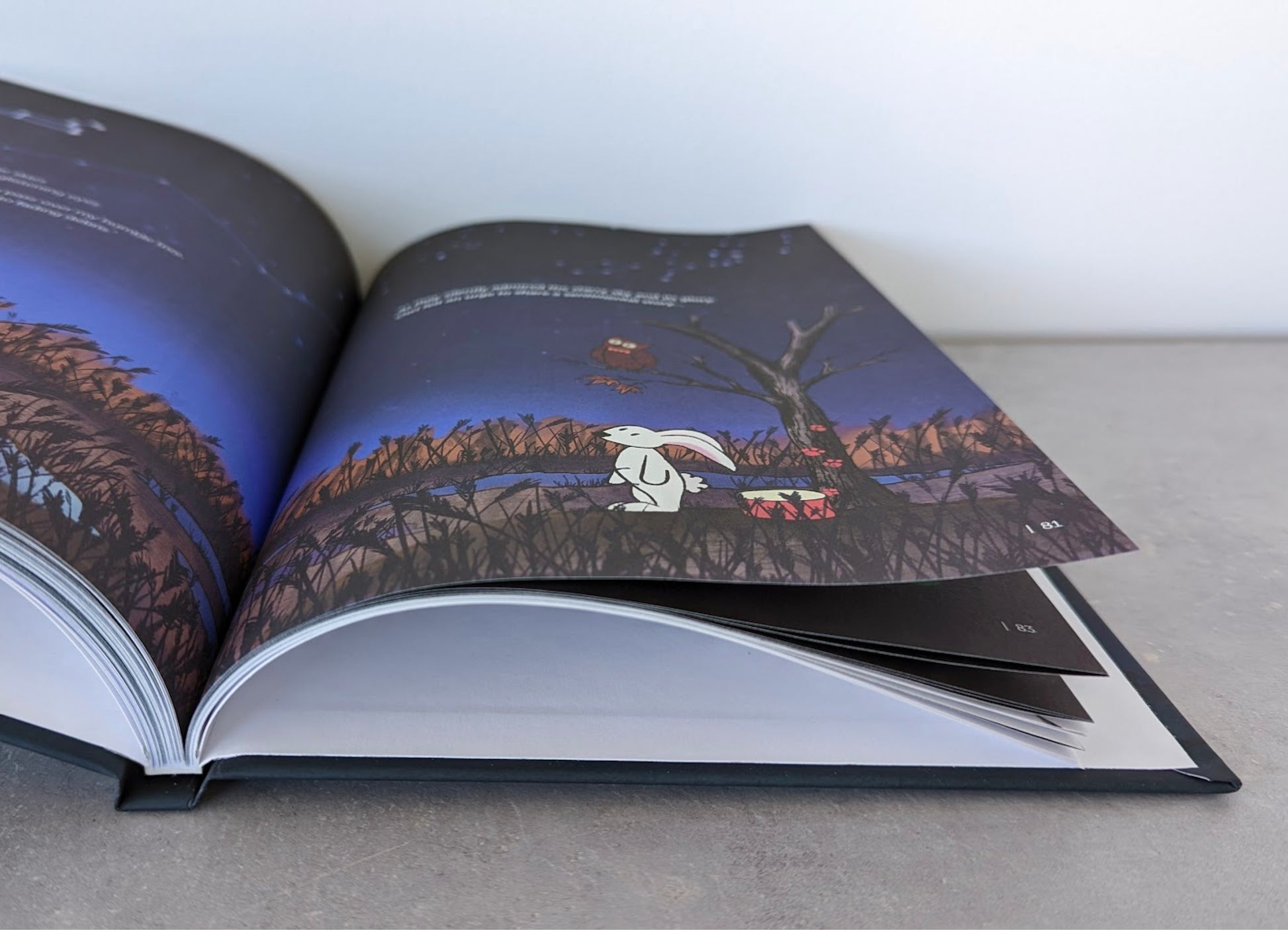 Image of inside pages of hardcover book